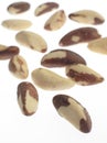 Brazil nuts Royalty Free Stock Photo
