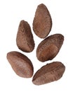 Brazil nuts Royalty Free Stock Photo
