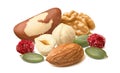 Brazil nuts, almonds, walnuts, peeled hazelnut, pumpkin seeds and dried cranberries isolated on white background