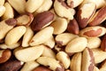 Brazil nuts background closeup. Shelled brazil nuts, top view Royalty Free Stock Photo