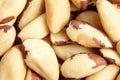 Brazil nuts background closeup. Shelled brazil nuts, top view Royalty Free Stock Photo