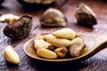 Brazil nuts, or Bolivian nuts, typical of the Amazon rainforest, exotic culinary ingredient