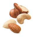 Brazil nuts, cashew, blanched almond and hazelnut isolated on white background Royalty Free Stock Photo