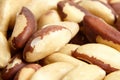 Brazil nuts closeup as background. Shelled nuts. Wholesome Brazil nuts in a heap, macro shot Royalty Free Stock Photo