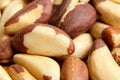 Brazil nuts closeup background. Shelled brazil nuts Royalty Free Stock Photo