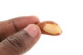 Brazil nuts isolated on white background closeup. Full depth of field Royalty Free Stock Photo