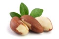 Brazil nuts with leaves isolated on white background closeup. Full depth of field Royalty Free Stock Photo