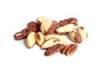 Brazil nuts and peeled pecans mix isolated on white background. Mixed nuts heap on a white backdrop