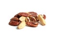 Brazil nuts and peeled pecans mix isolated on white background. Nutty goodness