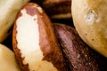 Brazil Nuts without Shell / Macro Shot Close View