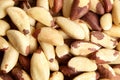 Brazil nuts texture background closeup. Shelled nuts, top view. Exotic Brazil nuts Royalty Free Stock Photo