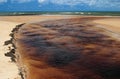 Brazil Praia da Forte Eco-reserve estuary