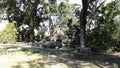 Brazil Rio de Janeiro Chacara do Ceu Museum Santa Teresa Garden Royalty Free Stock Photo