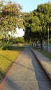 Brazil Rio de Janeiro Fundao Island Bicycle Path Trees Royalty Free Stock Photo