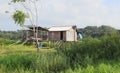 Brazil, Santarem: Living in the Rainforest - Home on Stilts