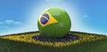 Brazil 2014 Soccer World Cup