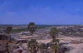 Brazil: The stone formations at the coastal boarder of the states Maranhao and Piau Royalty Free Stock Photo