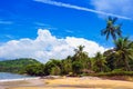Brazilean tropical beach Royalty Free Stock Photo