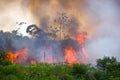 Brazilian Amazon Burning Royalty Free Stock Photo