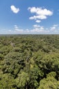 The brazilian amazon forest from above Royalty Free Stock Photo