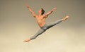 Ballet dancer jump Royalty Free Stock Photo