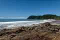 Brazilian beach with palm trees and rocks