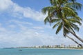 Brazilian Beach Palm Trees Maceio Nordeste Brazil