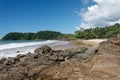 Brazilian beach with palm trees and rocks