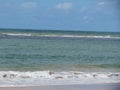 Brazilian Beach Sand , Wave and Ocean