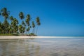 Brazilian Beaches-beach of Carneiros, Pernambuco