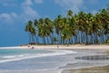 Brazilian Beaches-beach of Carneiros, Pernambuco