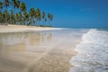 Brazilian Beaches-beach of Carneiros, Pernambuco