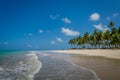 Brazilian Beaches-beach of Carneiros, Pernambuco