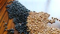 Brazilian beans under window light on the wooden table Royalty Free Stock Photo