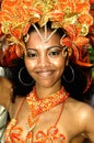 Brazilian Carnival. Royalty Free Stock Photo