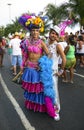 Brazilian Carnival