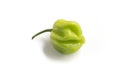 Brazilian Cheiro Pepper Royalty Free Stock Photo