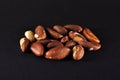 Brazilian Chestnut Royalty Free Stock Photo