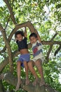 Brazilian children climbing in tropical tree