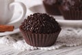 Brazilian chocolate candy Brigadeiro macro. horizontal