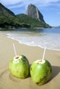 Brazilian Coco Gelado Coconuts Red Beach Rio de Janeiro