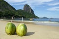 Brazilian Coco Gelado Coconuts Red Beach Rio de Janeiro Royalty Free Stock Photo