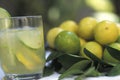 Brazilian drinks: caipirinha. Royalty Free Stock Photo