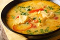 Brazilian fish Stew Moqueca Baiana with vegetables and coconut Royalty Free Stock Photo