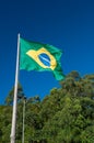 Brazilian Flag