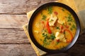 Brazilian food: Moqueca Baiana of fish and bell peppers in spicy Royalty Free Stock Photo