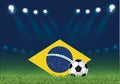 Brazilian football, vector illustration, ball and Brazilian flag at the football stadium