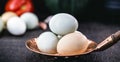 Brazilian free-range eggs, natural free-range eggs from Minas Gerais