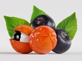 Guarana fruits Royalty Free Stock Photo