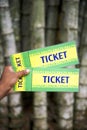 Brazilian Hand Holding Brazil Tickets Bamboo Jungle Rio de Janeiro